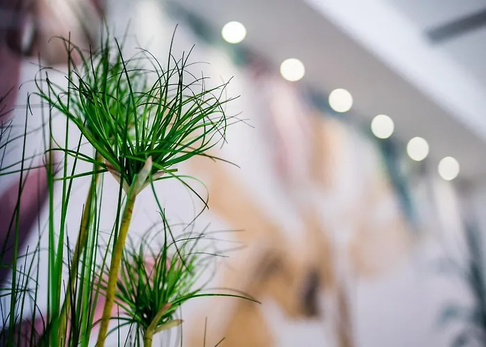 Mc Relax Maison d'hôtes